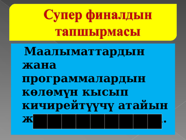  Маалыматтардын жана программалардын көлөмүн кысып кичирейтүүчү атайын жасалган программа. 