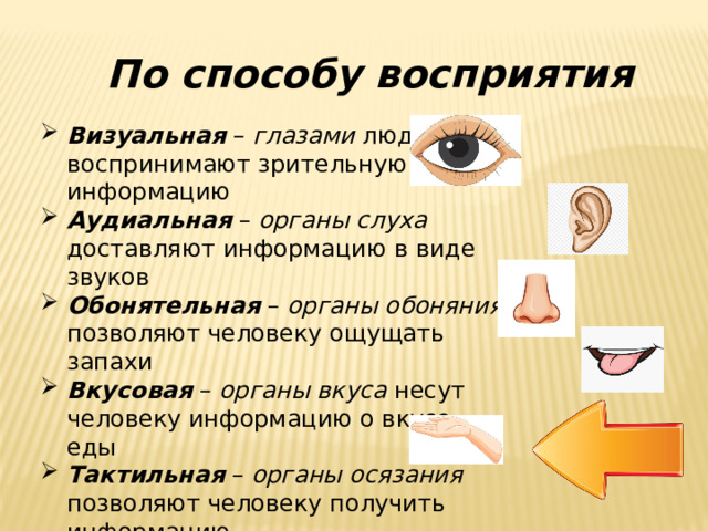 По способу восприятия Визуальная – глазами люди воспринимают зрительную информацию Аудиальная  – органы слуха доставляют информацию в виде звуков Обонятельная – органы обоняния позволяют человеку ощущать запахи Вкусовая – органы вкуса несут человеку информацию о вкусе еды Тактильная – органы осязания позволяют человеку получить информацию 