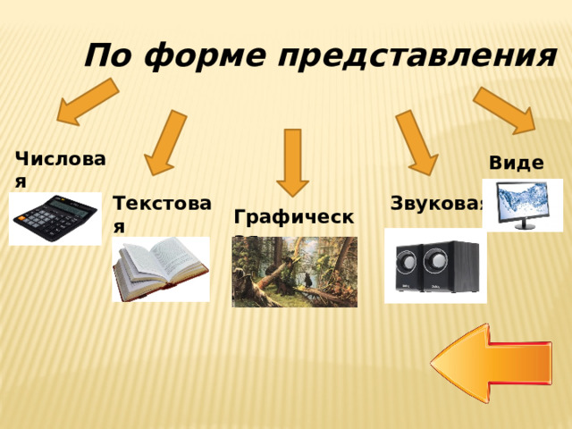 По форме представления Числовая Видео   Звуковая Текстовая Графическая 