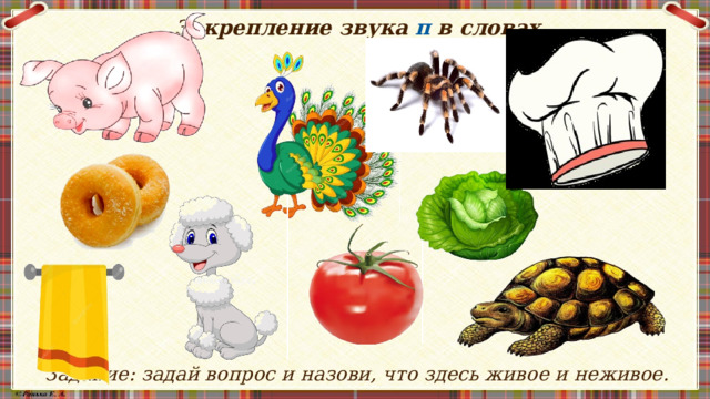 Закрепление звука п в словах               Задание: задай вопрос и назови, что здесь живое и неживое. 
