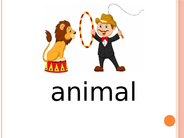 animal trainer 