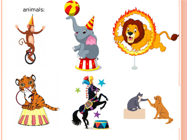 animals: 