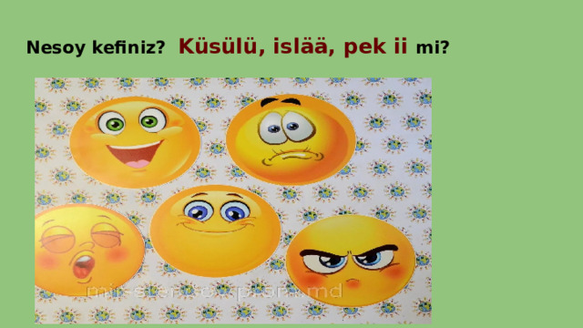 Nesoy kefiniz? Küsülü, islää, pek ii  mi? 