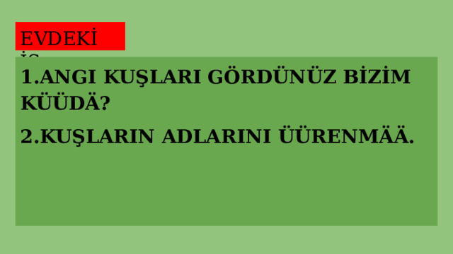 EVDEKİ İŞ: 1.ANGI KUŞLARI GÖRDÜNÜZ BİZİM KÜÜDÄ? 2.KUŞLARIN ADLARINI ÜÜRENMÄÄ. 