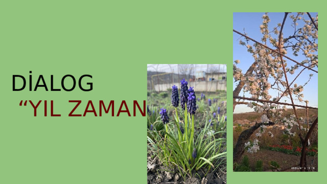 DİALOG “YIL ZAMANI”  