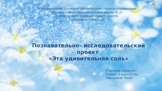 Муниципальное казенное общеобразовательное учреждение «Cредняя общеобразовательная школа № 2» Левокумского муниципального округа Ставропольского края Познавательно- исследовательский проект «Эта удивительная соль» Участник проекта: ученик 3 класса «А» Зиятдинов Ренат 