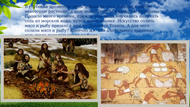 В глубокой древности люди добывали соль, сжигая в костре некоторые растения, а золу использовали в качестве приправы. Прошло много времени, прежде чем люди научились получать соль из морской воды, путем выпаривания. Искусство солить мясо и рыбу пришло к нам из Древнего Египта. А для чего солили мясо и рыбу? Конечно же, для длительного хранения, ведь тогда холодильников не было. Вывод: соль имеет свойство убивать микробы, является антисептиком, не даёт портиться продуктам. . 