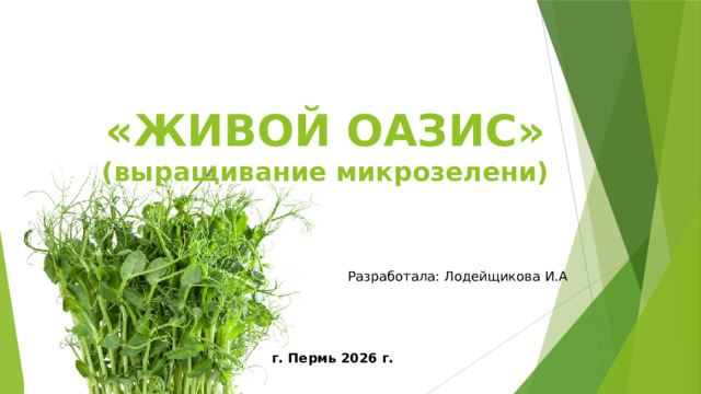 «ЖИВОЙ ОАЗИС» (выращивание микрозелени) Разработала: Лодейщикова И.А г. Пермь 2026 г. 