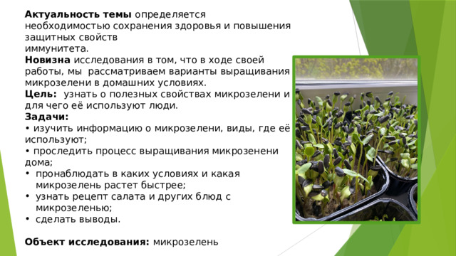 Актуальность темы определяется необходимостью сохранения здоровья и повышения защитных свойств иммунитета. Новизна исследования в том, что в ходе своей работы, мы рассматриваем варианты выращивания микрозелени в домашних условиях. Цель: узнать о полезных свойствах микрозелени и для чего её используют люди. Задачи: • изучить информацию о микрозелени, виды, где её используют; • проследить процесс выращивания микрозенени дома; пронаблюдать в каких условиях и какая микрозелень растет быстрее; узнать рецепт салата и других блюд с микрозеленью; сделать выводы.   Объект исследования: микрозелень Предмет исследования: выращивание микрозелени 