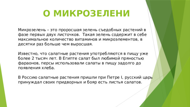 О МИКРОЗЕЛЕНИ Микрозелень – это проросшая зелень съедобных растений в фазе первых двух листочков. Такая зелень содержит в себе максимальное количество витаминов и микроэлементов, в десятки раз больше чем выросшая. Известно, что салатные растения употребляются в пищу уже более 2 тысяч лет. В Египте салат был любимой пряностью фараонов, персы использовали салаты в пищу задолго до появления хлеба. В Россию салатные растения пришли при Петре I, русский царь принуждал своих придворных и бояр есть листья салатов. 