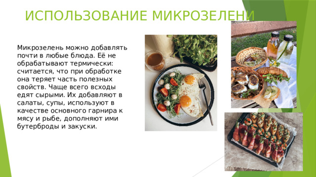 ИСПОЛЬЗОВАНИЕ МИКРОЗЕЛЕНИ Микрозелень можно добавлять почти в любые блюда. Её не обрабатывают термически: считается, что при обработке она теряет часть полезных свойств. Чаще всего всходы едят сырыми. Их добавляют в салаты, супы, используют в качестве основного гарнира к мясу и рыбе, дополняют ими бутерброды и закуски. 