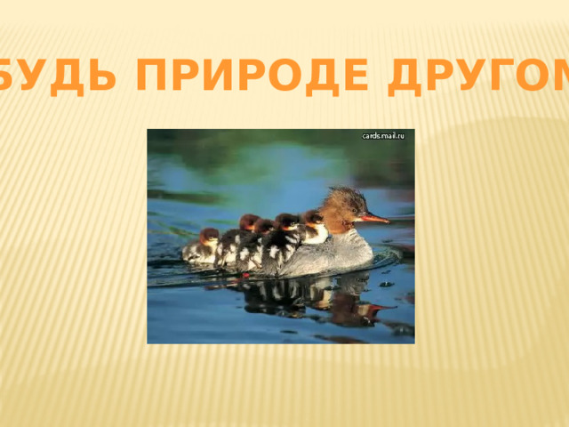 БУДЬ ПРИРОДЕ ДРУГОМ! 