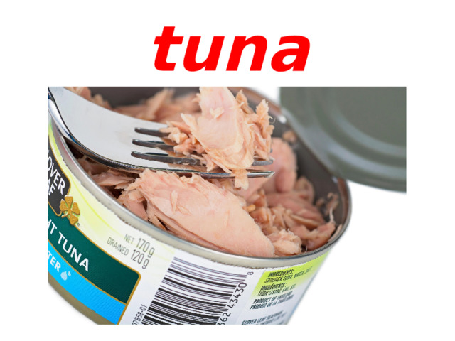 tuna 