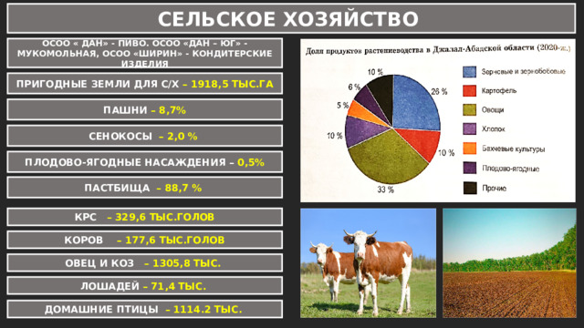 СЕЛЬСКОЕ ХОЗЯЙСТВО ОСОО « ДАН» - ПИВО. ОСОО «ДАН – ЮГ» - МУКОМОЛЬНАЯ, ОСОО «ШИРИН» - КОНДИТЕРСКИЕ ИЗДЕЛИЯ ПРИГОДНЫЕ ЗЕМЛИ ДЛЯ С/Х – 1918,5 ТЫС.ГА ПАШНИ – 8,7% СЕНОКОСЫ – 2,0 % ПЛОДОВО-ЯГОДНЫЕ НАСАЖДЕНИЯ – 0,5% ПАСТБИЩА – 88,7 % КРС – 329,6 ТЫС.ГОЛОВ КОРОВ – 177,6 ТЫС.ГОЛОВ ОВЕЦ И КОЗ – 1305,8 ТЫС. ЛОШАДЕЙ – 71,4 ТЫС. ДОМАШНИЕ ПТИЦЫ – 1114.2 ТЫС. 