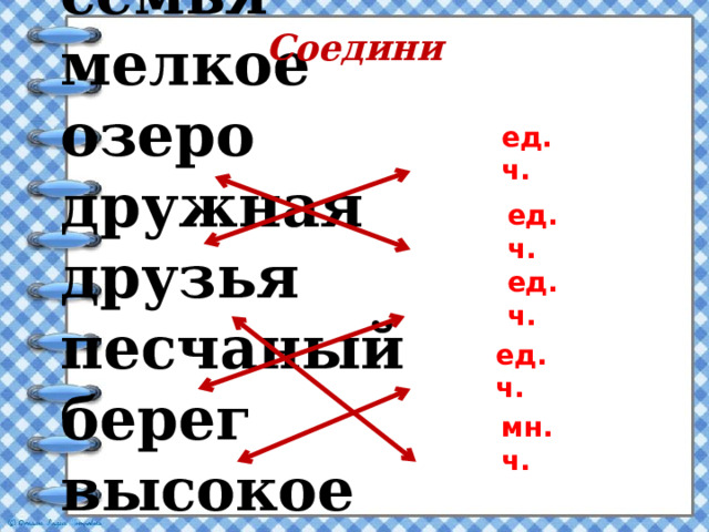 семья мелкое озеро дружная друзья песчаный берег высокое дерево верные  Соедини ед.ч. ед.ч. ед.ч. ед.ч. мн.ч. 