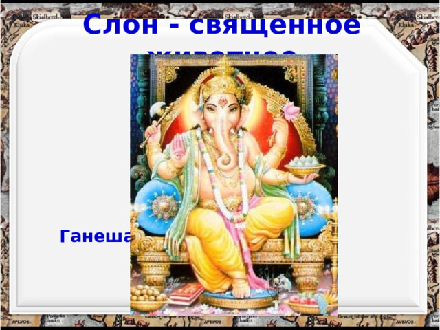 Слон - священное животное Ганеша 