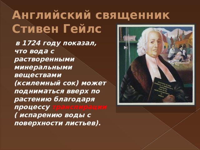 Английский священник Стивен Гейлс  в 1724 году показал, что вода с растворенными минеральными веществами (ксилемный сок) может подниматься вверх по растению благодаря процессу  транспирации ( испарению воды с поверхности листьев).   