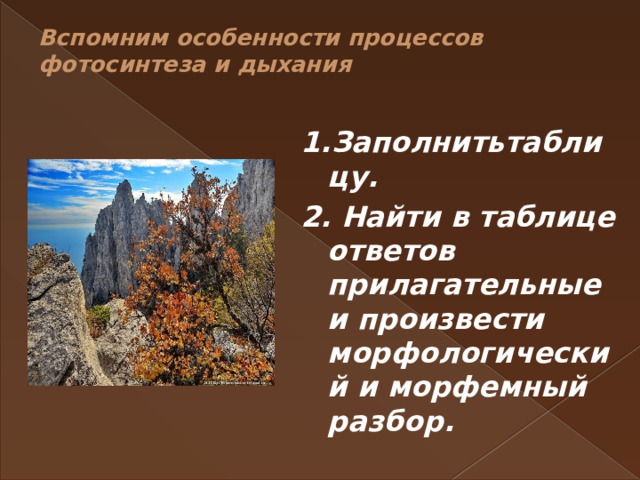 Вспомним особенности процессов фотосинтеза и дыхания    1.Заполнитьтаблицу. 2. Найти в таблице ответов прилагательные и произвести морфологический и морфемный разбор. 