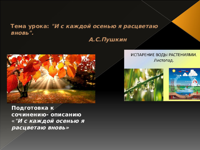  Тема урока: 
