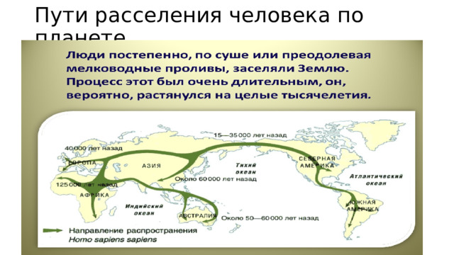 Пути расселения человека по планете 