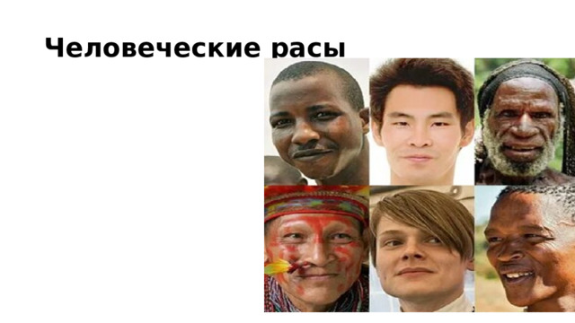 Человеческие расы 