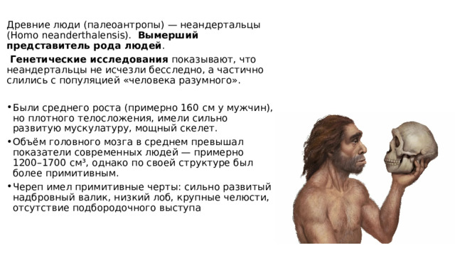  Древние люди (палеоантропы) — неандертальцы (Homo neanderthalensis).   Вымерший представитель рода людей .  Генетические исследования  показывают, что неандертальцы не исчезли бесследно, а частично слились с популяцией «человека разумного». Были среднего роста (примерно 160 см у мужчин), но плотного телосложения, имели сильно развитую мускулатуру, мощный скелет. Объём головного мозга в среднем превышал показатели современных людей — примерно 1200–1700 см³, однако по своей структуре был более примитивным. Череп имел примитивные черты: сильно развитый надбровный валик, низкий лоб, крупные челюсти, отсутствие подбородочного выступа   