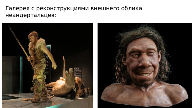 Галерея с реконструкциями внешнего облика неандертальцев: 