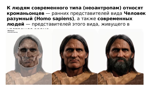 К людям современного типа (неоантропам) относят кроманьонцев  — ранних представителей вида  Человек разумный (Homo sapiens) , а также  современных людей  — представителей этого вида, живущего в настоящее время.   