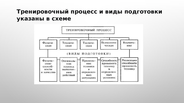  Тренировочный процесс и виды подготовки указаны в схеме 