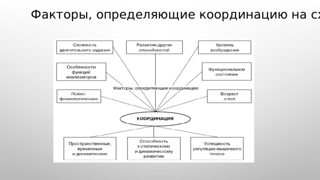  Факторы, определяющие координацию на схеме 