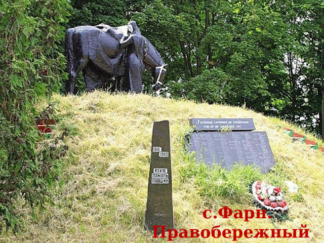  с.Фарн. Правобережный р-он 