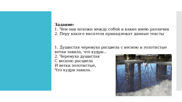 Задание: 1. Чем они похожи между собой и какие имею различия 2. Перу какого писателя принадлежат данные тексты 1. Душистая черемуха расцвела с весною и золотистые ветки завила, что кудри… 2. Черемуха душистая С весною расцвела И ветки золотистые, Что кудри завила. 