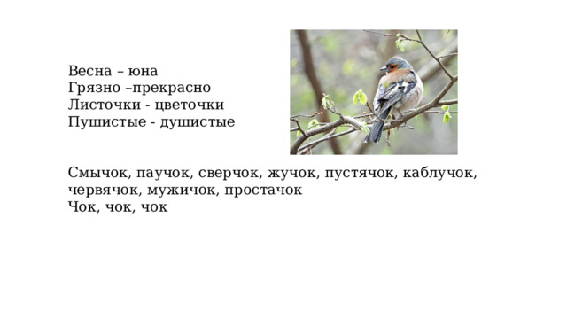 Весна – юна Грязно –прекрасно Листочки - цветочки Пушистые - душистые Смычок, паучок, сверчок, жучок, пустячок, каблучок, червячок, мужичок, простачок Чок, чок, чок 