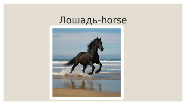  Лошадь-horse 