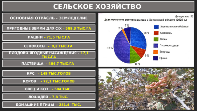 СЕЛЬСКОЕ ХОЗЯЙСТВО ОСНОВНАЯ ОТРАСЛЬ - ЗЕМЛЕДЕЛИЕ ПРИГОДНЫЕ ЗЕМЛИ ДЛЯ С/Х – 589,3 ТЫС.ГА ПАШНИ – 71,5 ТЫС.ГА СЕНОКОСЫ – 9,2 ТЫС.ГА ПЛОДОВО-ЯГОДНЫЕ НАСАЖДЕНИЯ – 17,1 ТЫС.ГА ПАСТБИЩА – 484,7 ТЫС.ГА КРС – 149 ТЫС.ГОЛОВ КОРОВ – 72,1 ТЫС.ГОЛОВ ОВЕЦ И КОЗ – 504 ТЫС. ЛОШАДЕЙ – 7,8 ТЫС. ДОМАШНИЕ ПТИЦЫ – 281,4 ТЫС. 