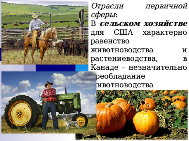 Отрасли первичной сферы : В сельском хозяйстве для США характерно равенство животноводства и растениеводства, в Канаде – незначительно преобладание животноводства 
