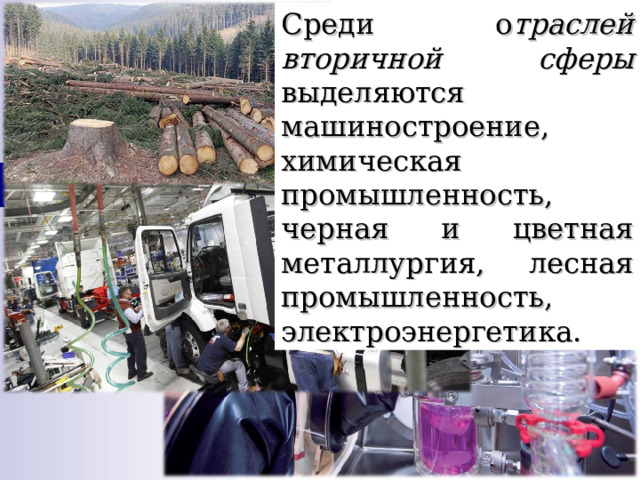 Среди о траслей вторичной сферы выделяются машиностроение, химическая промышленность, черная и цветная металлургия, лесная промышленность, электроэнергетика. 