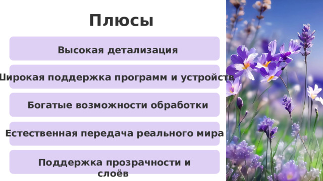 Плюсы Высокая детализация Широкая поддержка программ и устройств Богатые возможности обработки плюсы растровой графики: Высокая детализация . Файлы могут содержать миллионы цветов и оттенков, что позволяет точно передавать сложные визуальные сцены. Широкая поддержка программ и устройств . Практически все графические редакторы, браузеры, смартфоны и принтеры умеют работать с растровыми форматами. Богатые возможности обработки . В растровых редакторах можно тонко корректировать цвет, свет, текстуры, добавлять спецэффекты и работать с каждым пикселем отдельно. Естественная передача реального мира . Фотографии, скриншоты, цифровые картины — всё это по своей природе растровые изображения, которые отражают действительность так, как её видит глаз или камера. Поддержка прозрачности и слоёв . Форматы вроде PNG или PSD позволяют использовать прозрачный фон и многослойную структуру, что удобно при создании веб-элементов, коллажей или подготовке макетов. Естественная передача реального мира Поддержка прозрачности и слоёв  14 