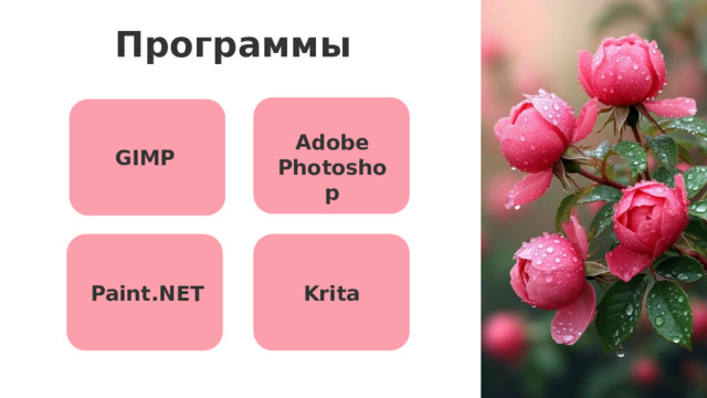 Программы Adobe Photoshop GIMP Программы Для работы с растровой графикой используются, например: Adobe Photoshop  — профессиональный графический редактор. GIMP (GNU Image Manipulation Program)  — бесплатный редактор с открытым исходным кодом. Krita  — бесплатный редактор, ориентированный на цифровых художников, но со временем превратился в универсальный инструмент для работы с растровой графикой. Paint.NET  — бесплатная программа для Windows с интуитивно понятным интерфейсом, подходит для новичков. Krita Paint.NET 16 