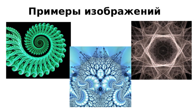 Примеры изображений 8 