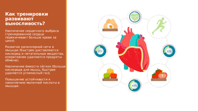  Как тренировки развивают выносливость?    Увеличение сердечного выброса (тренированное сердце перекачивает больше крови за цикл). Развитие капиллярной сети в мышцах (быстрее доставляются кислород и питательные вещества, оперативнее удаляются продукты обмена). Увеличение ёмкости лёгких (больше кислорода для мышц, быстрее удаляется углекислый газ). Повышение устойчивости к накоплению молочной кислоты в мышцах. 