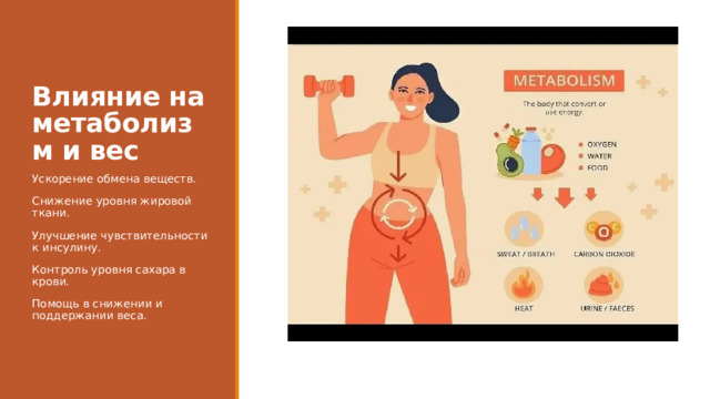 Влияние на метаболизм и вес Ускорение обмена веществ. Снижение уровня жировой ткани. Улучшение чувствительности к инсулину. Контроль уровня сахара в крови. Помощь в снижении и поддержании веса. 