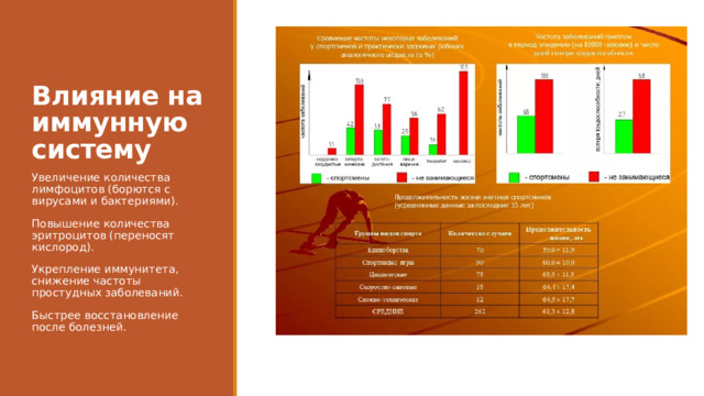 Влияние на иммунную систему Увеличение количества лимфоцитов (борются с вирусами и бактериями). Повышение количества эритроцитов (переносят кислород). Укрепление иммунитета, снижение частоты простудных заболеваний. Быстрее восстановление после болезней. 