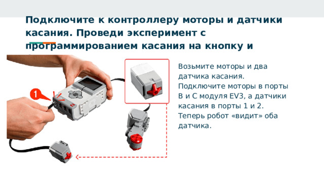 Подключите к контроллеру моторы и датчики касания. Проведи эксперимент с программированием касания на кнопку и блоками «И», «ИЛИ».    Возьмите моторы и два датчика касания. Подключите моторы в порты В и С модуля EV3, а датчики касания в порты 1 и 2. Теперь робот «видит» оба датчика. 