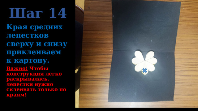 Шаг 14 Края средних лепестков сверху и снизу приклеиваем к картону. Важно! Чтобы конструкция легко раскрывалась, лепестки нужно склеивать только по краям! 