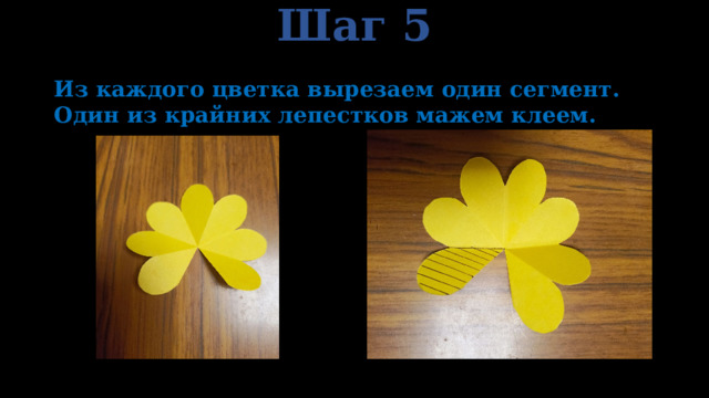 Шаг 5 Из каждого цветка вырезаем один сегмент. Один из крайних лепестков мажем клеем. 
