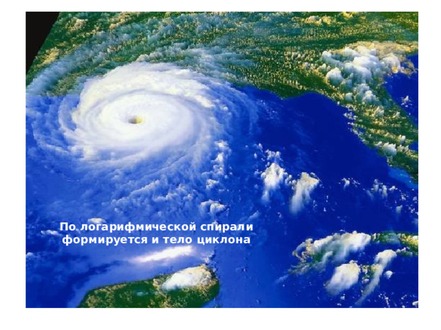 По логарифмической спирали формируется и тело циклона 