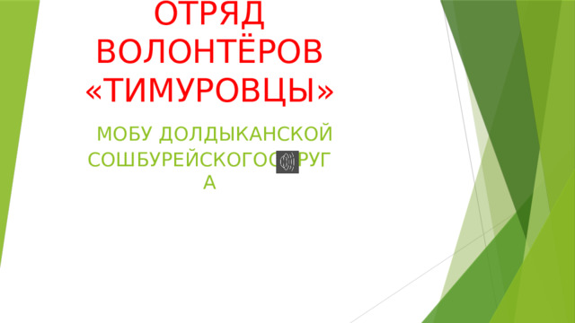 «ЭКОЮННАТЫ»  ОТРЯД ВОЛОНТЁРОВ «ТИМУРОВЦЫ»   МОБУ ДОЛДЫКАНСКОЙ СОШБУРЕЙСКОГООКРУГА 