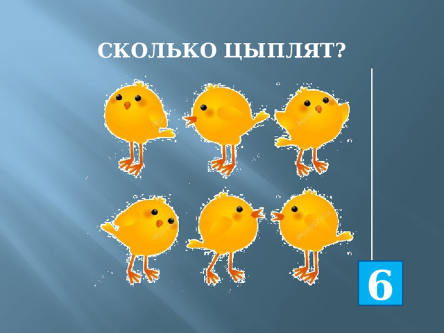 СКОЛЬКО ЦЫПЛЯТ? 6 