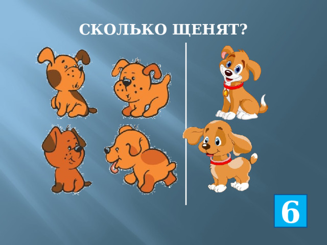 СКОЛЬКО ЩЕНЯТ? 6 